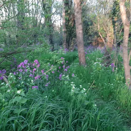 Riviere バニョル・シュル・セズ