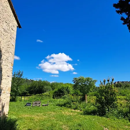 فيلة Riviere